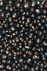 Similar image 1070436