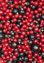 Similar image 1070437