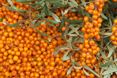 Similar image 1070439