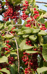 Similar image 1070440