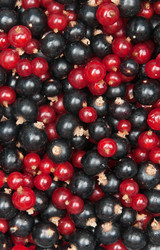 Similar image 1070442