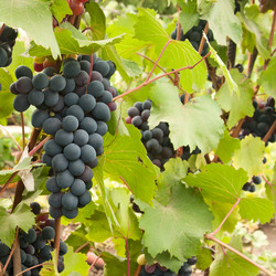 Similar image 1070449