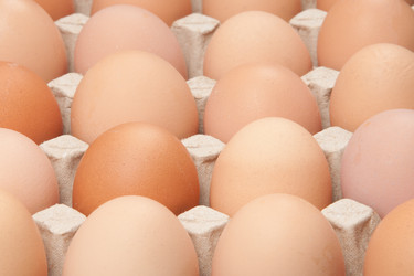 Similar image 1070456