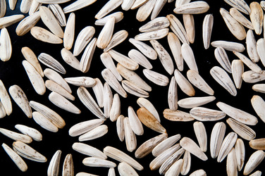 Similar image 1070494