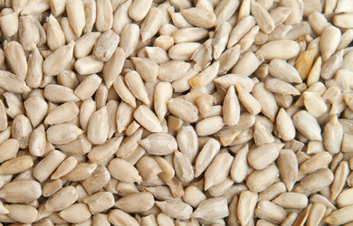 Similar image 1070495