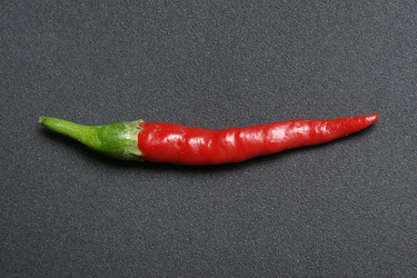 Similar image 1070503