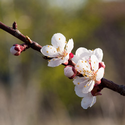 Similar image 1070507