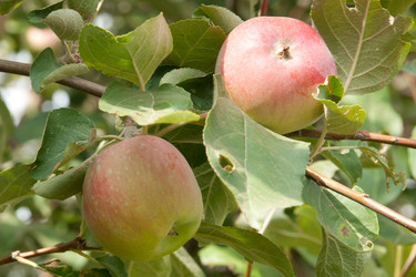 Similar image 1070548