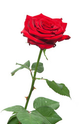 Similar image 1070556