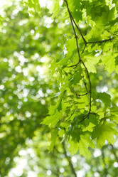 Similar image 1070561