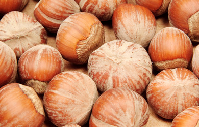 Similar image 1070577