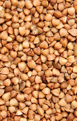 Similar image 1070579