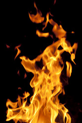 Similar image 1070594