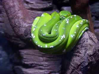 Similar image 1070626