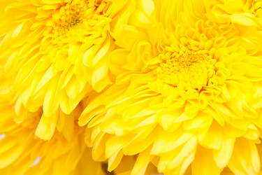 Similar image 1070681