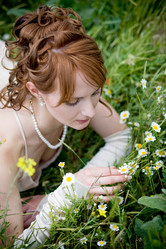 Similar image 1070775