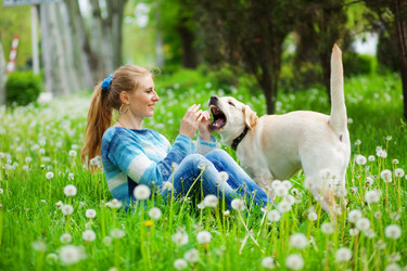 Similar image 1070812