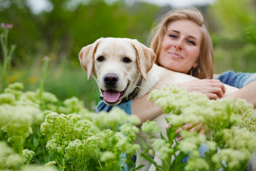 Similar image 1070832