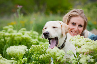 Similar image 1070833