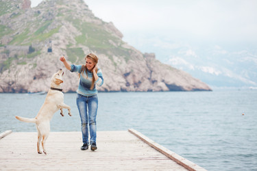 Similar image 1070854