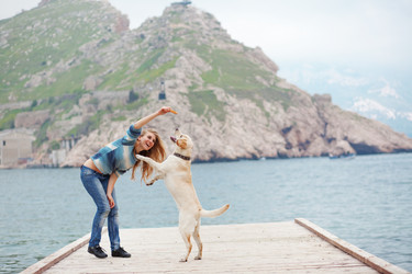 Similar image 1070855