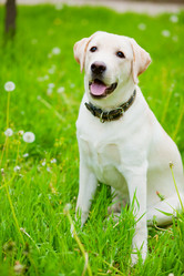 Similar image 1070887