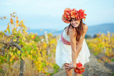 Similar image 1070989