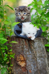 Similar image 1071013