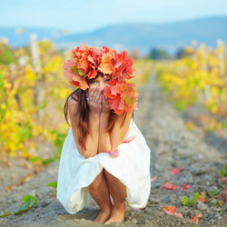 Similar image 1071027