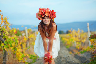 Similar image 1071036