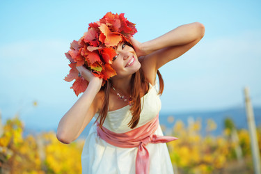 Similar image 1071037