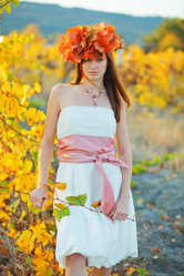 Similar image 1071040