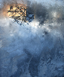 Similar image 1071042