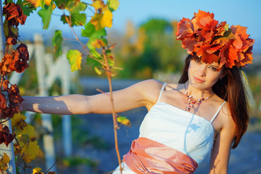 Similar image 1071048