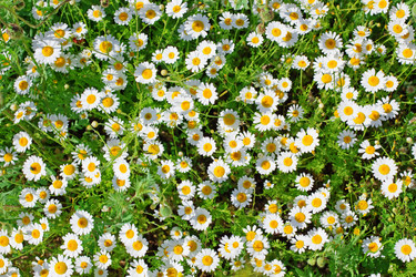 Similar image 1071056