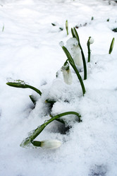 Similar image 1071057