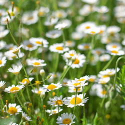 Similar image 1071059