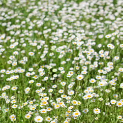 Similar image 1071061