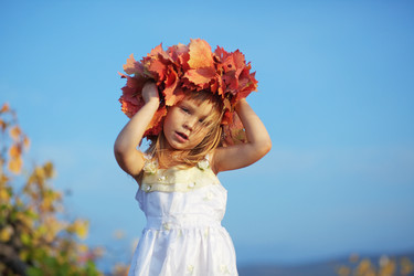 Similar image 1071091