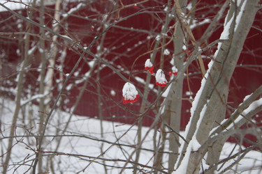 Similar image 1071095