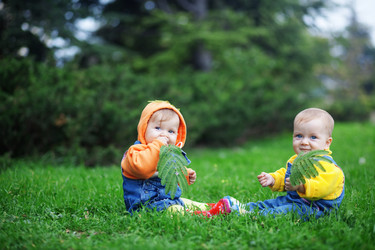 Similar image 1071102