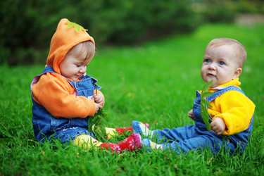 Similar image 1071108