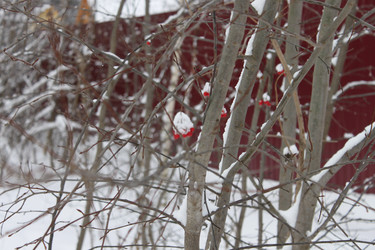 Similar image 1071111