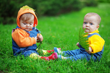 Similar image 1071112