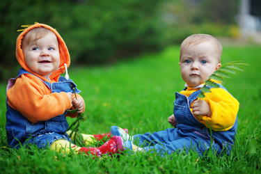 Similar image 1071114