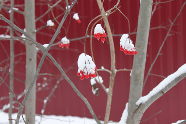 Similar image 1071126