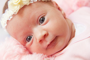 Similar image 1071127