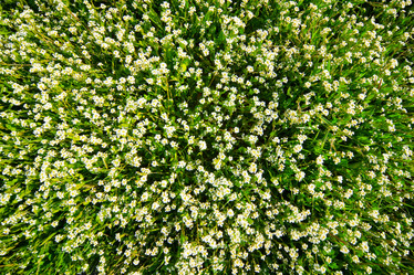 Similar image 1071300