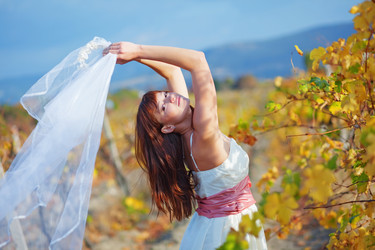 Similar image 1071374