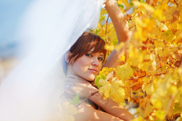 Similar image 1071379